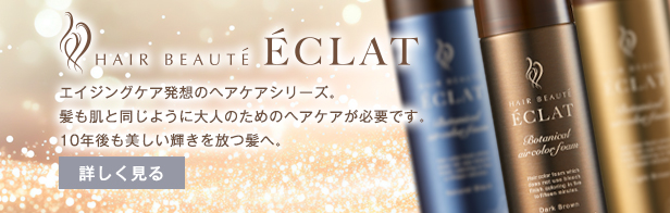 お取り扱いブランド ヘアボーテ エクラ