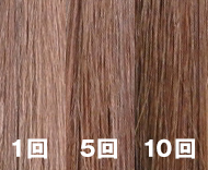 Online Shop | ヘアボーテ ボタニカルカラークリームシャンプー