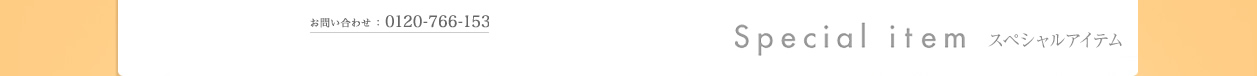 Special Item