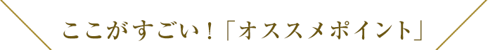 ここがすごい！「オススメポイント」