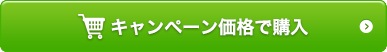 キャンペーン価格で購入